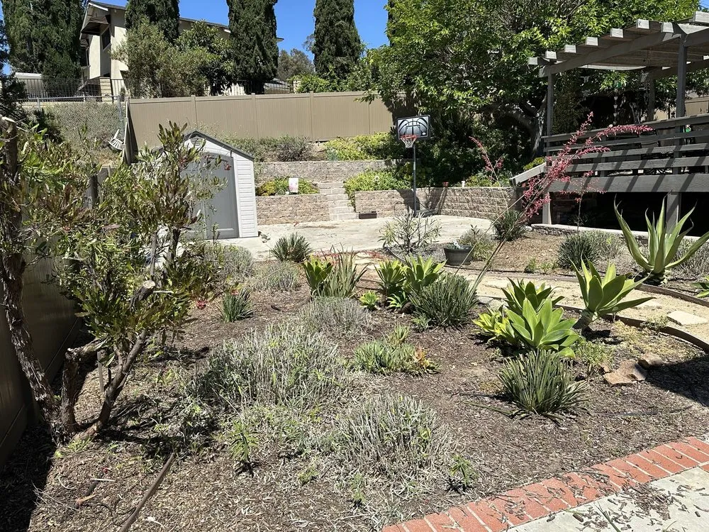 Local yard cleanup service in Pomona, CA by Xtreme Tree Care