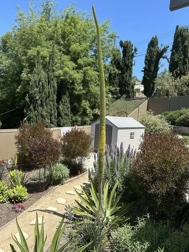Affordable landscape installation for residential properties in Pomona, CA by Xtreme Tree Care