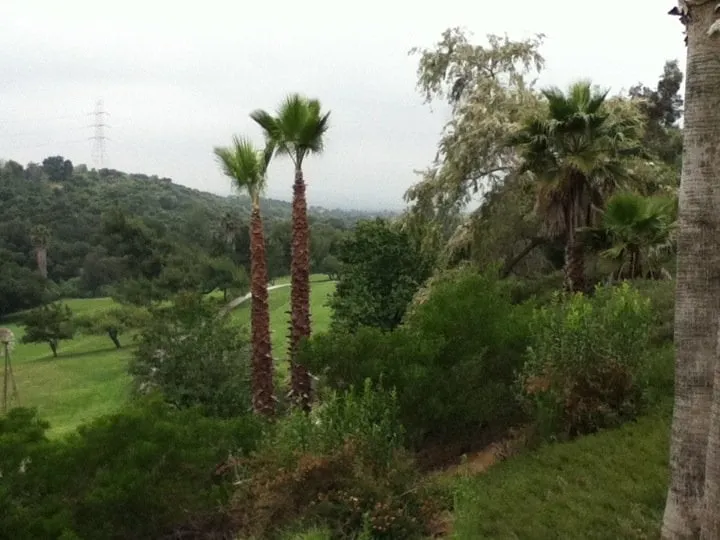 Professional landscape design in Pomona, CA - Xtreme Tree Care