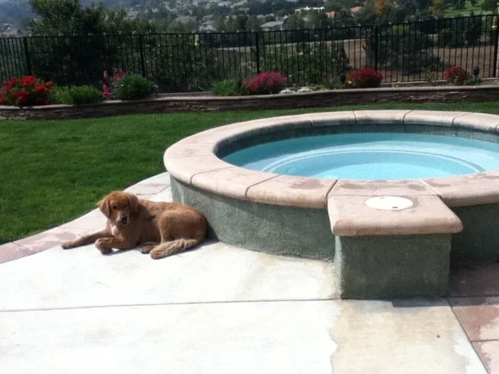 Top-rated landscape installation for homes across Pomona, CA - Xtreme Tree Care