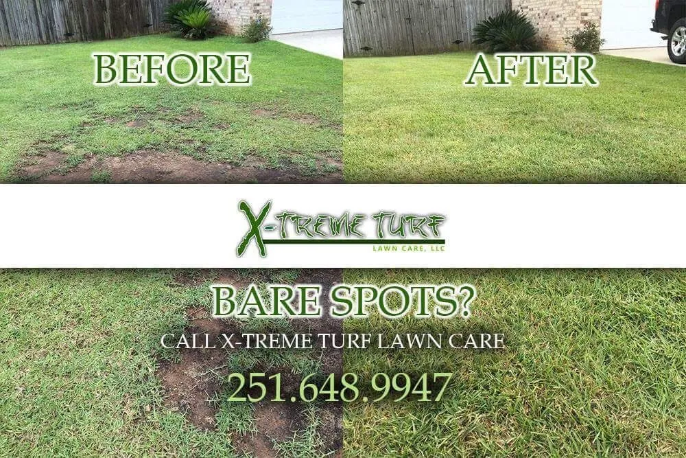 Top-rated lawn care service in Loxley, AL - Xtreme Turf Lawn Care