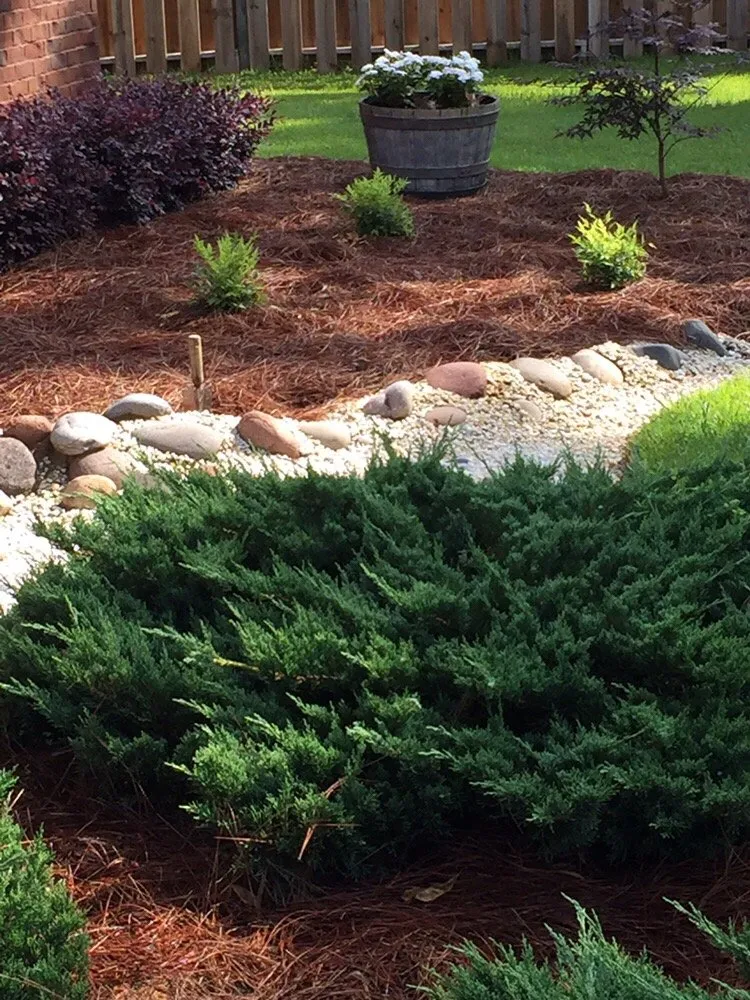 Affordable landscaping services for outdoor upgrades in Loxley, AL by Xtreme Turf Lawn Care