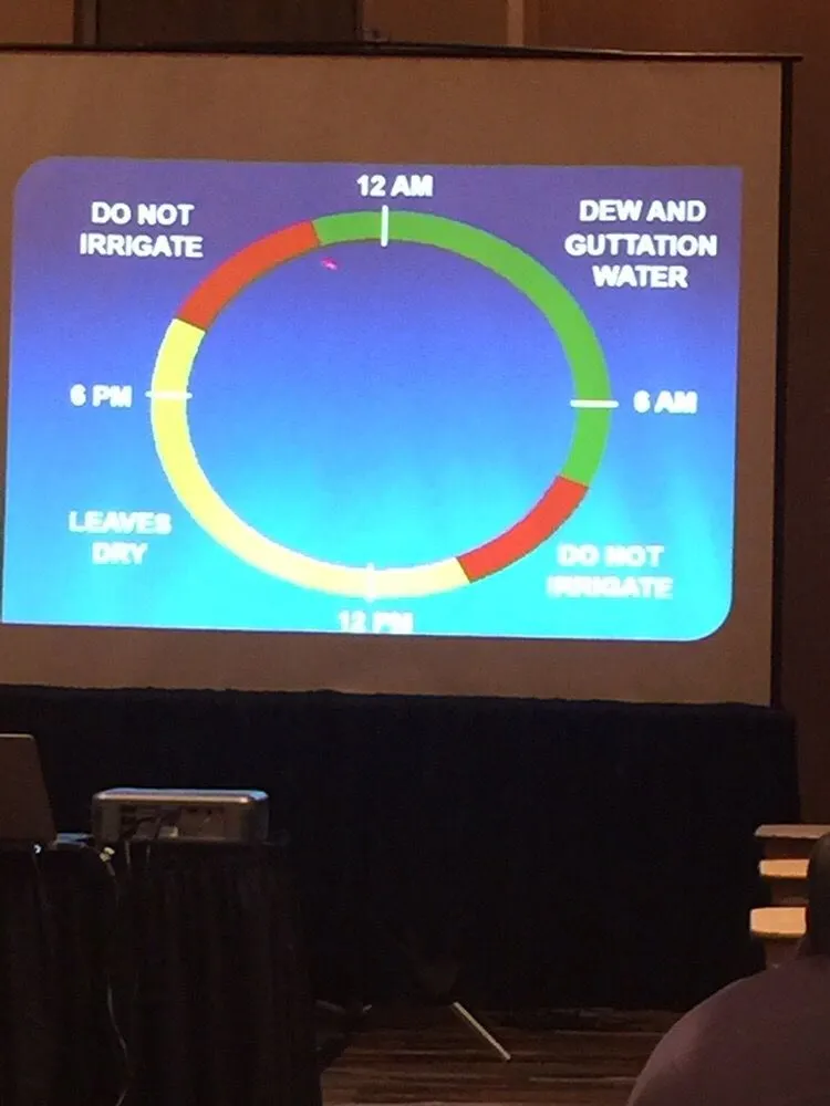 Professional lawn mowing service experts serving Loxley, AL - Xtreme Turf Lawn Care