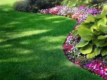 Local lawn mowing service in Loxley, AL by Xtreme Turf Lawn Care