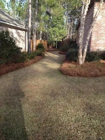 Reliable yard cleanup service in Loxley, AL by Xtreme Turf Lawn Care