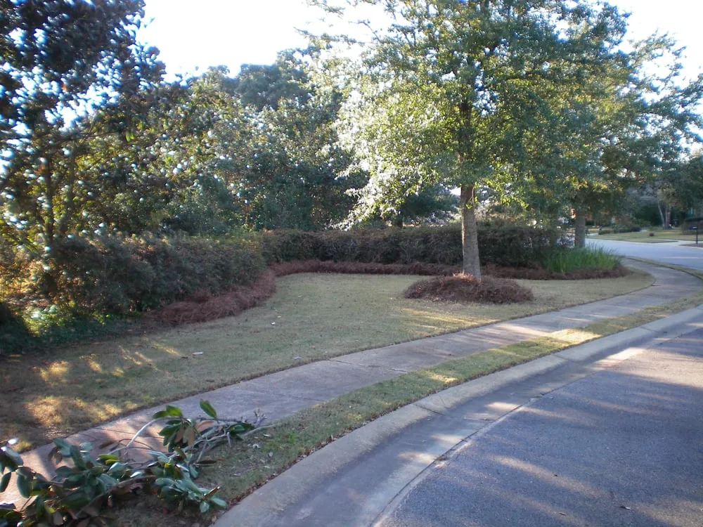 Top-rated landscaping services in Loxley, AL by Xtreme Turf Lawn Care