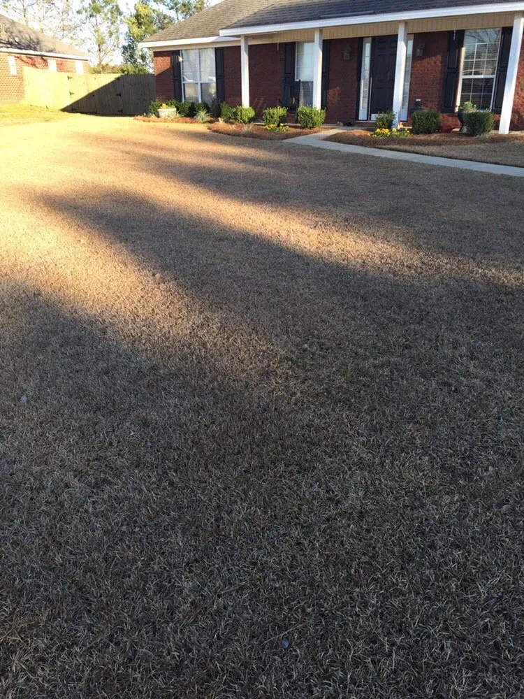 Professional lawn care service experts serving Loxley, AL - Xtreme Turf Lawn Care