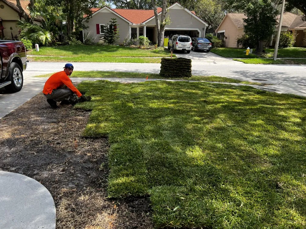 Reliable yard cleanup service in Tampa Bay, FL by Xtrim Property Maintenance