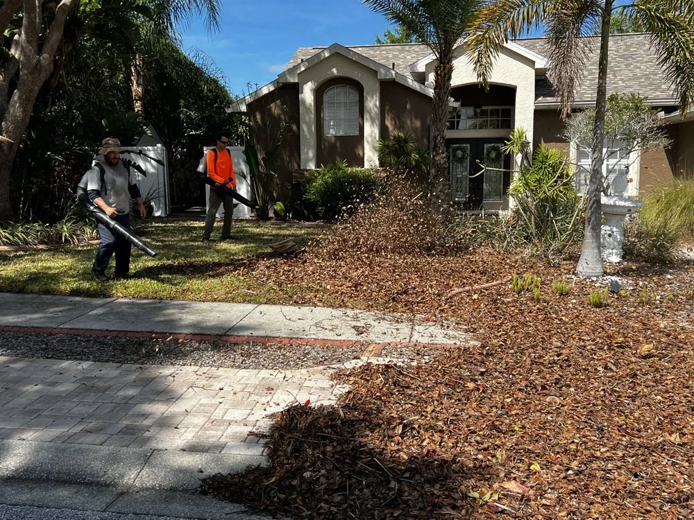 Top-rated yard cleanup service in Tampa Bay, FL by Xtrim Property Maintenance