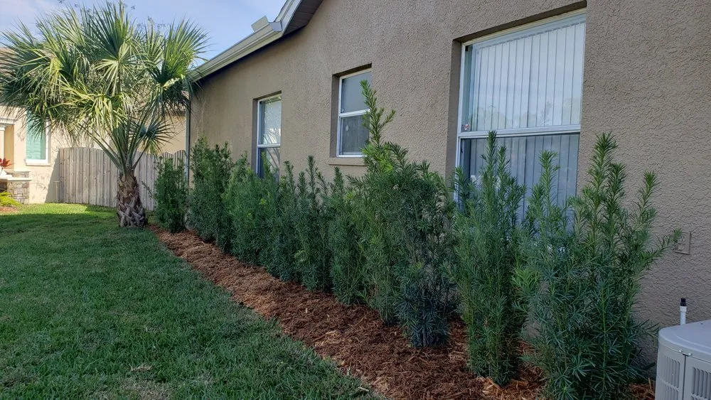 Expert yard maintenance in Tampa Bay, FL by Xtrim Property Maintenance