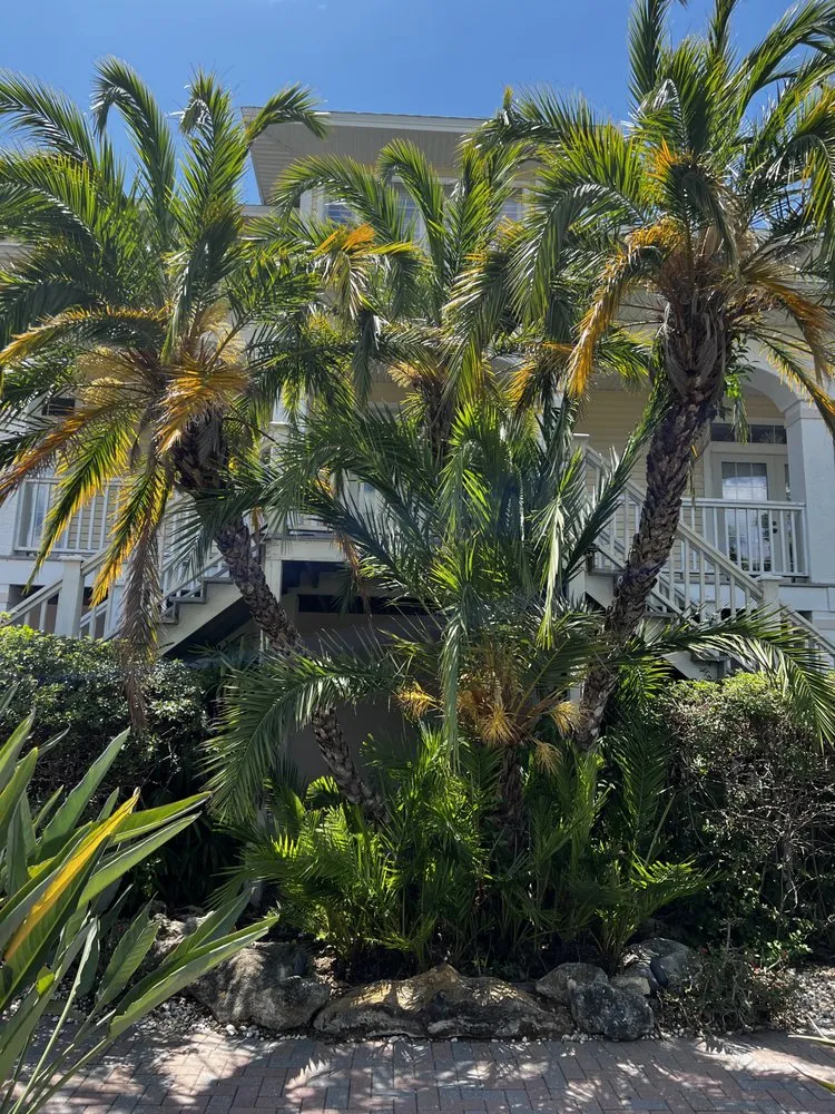 Custom landscaping services with custom design in Tampa Bay, FL by Xtrim Property Maintenance