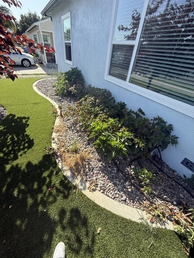 Affordable garden landscaping for beautiful yards in Carson, CA by XVII Landscape