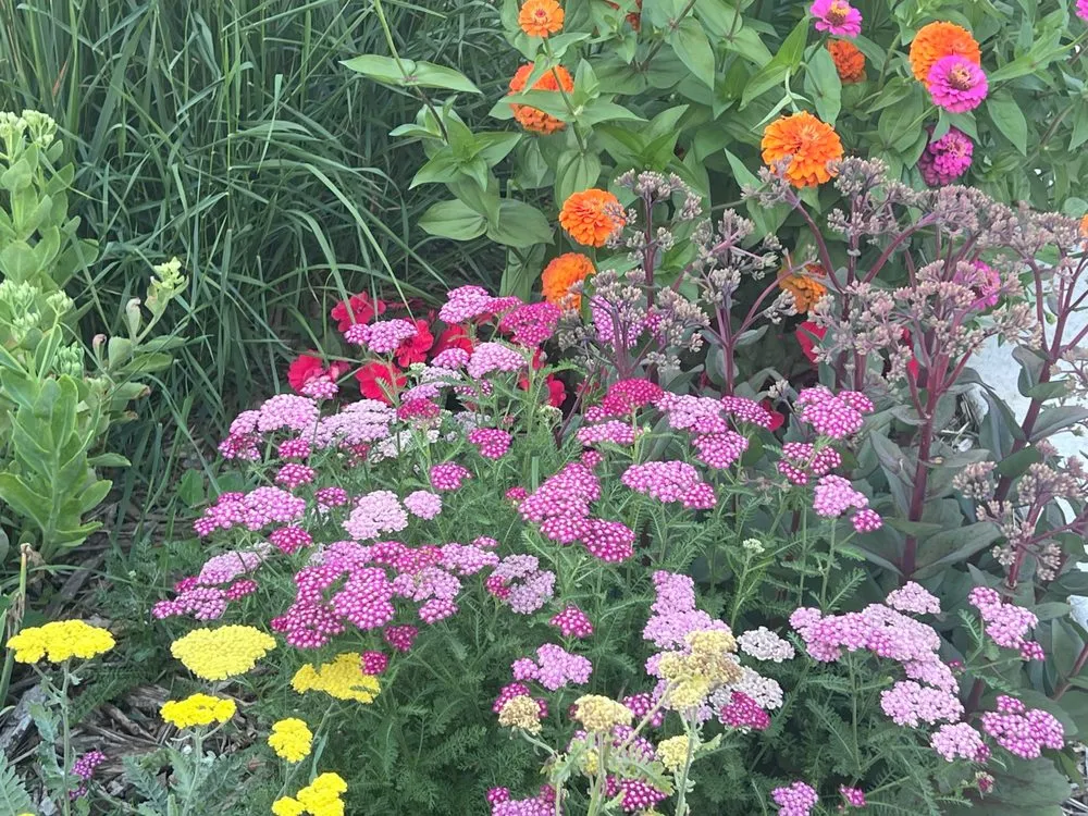 Custom residential landscaping in Minneapolis, MN - Xylem Designs