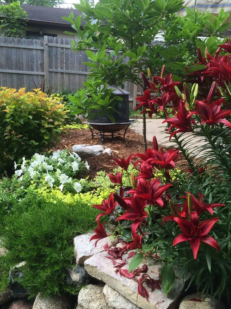 Top-rated lawn mowing service in Minneapolis, MN by Xylem Designs