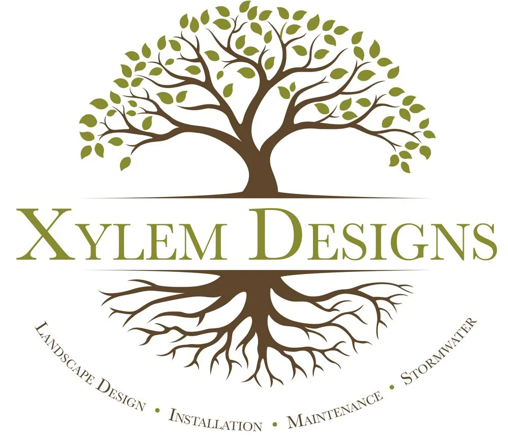 Custom landscaping services for year-round maintenance across Minneapolis, MN - Xylem Designs