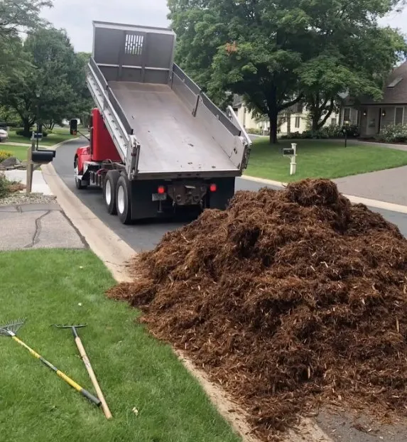 Expert landscaping services for residential properties across Minneapolis, MN - Xylem Designs