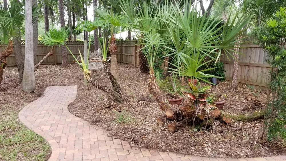 Top-rated lawn care service in Tampa, FL - Y & M Landscaping Service