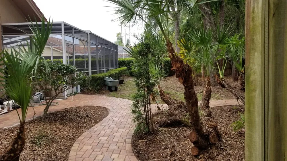 Affordable landscaping services experts serving Tampa, FL - Y & M Landscaping Service