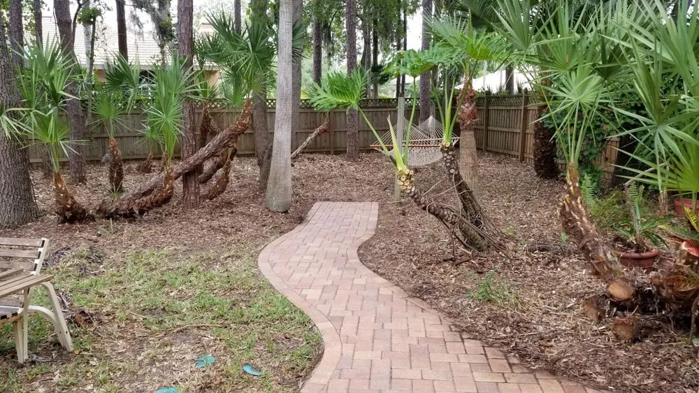 Expert residential landscaping with custom design across Tampa, FL - Y & M Landscaping Service