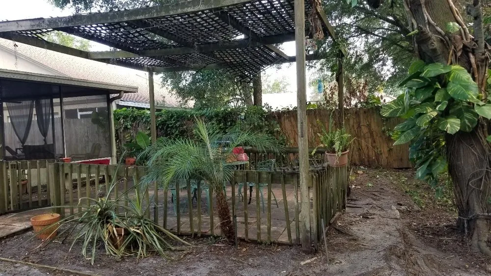 Reliable yard cleanup service in Tampa, FL - Y & M Landscaping Service
