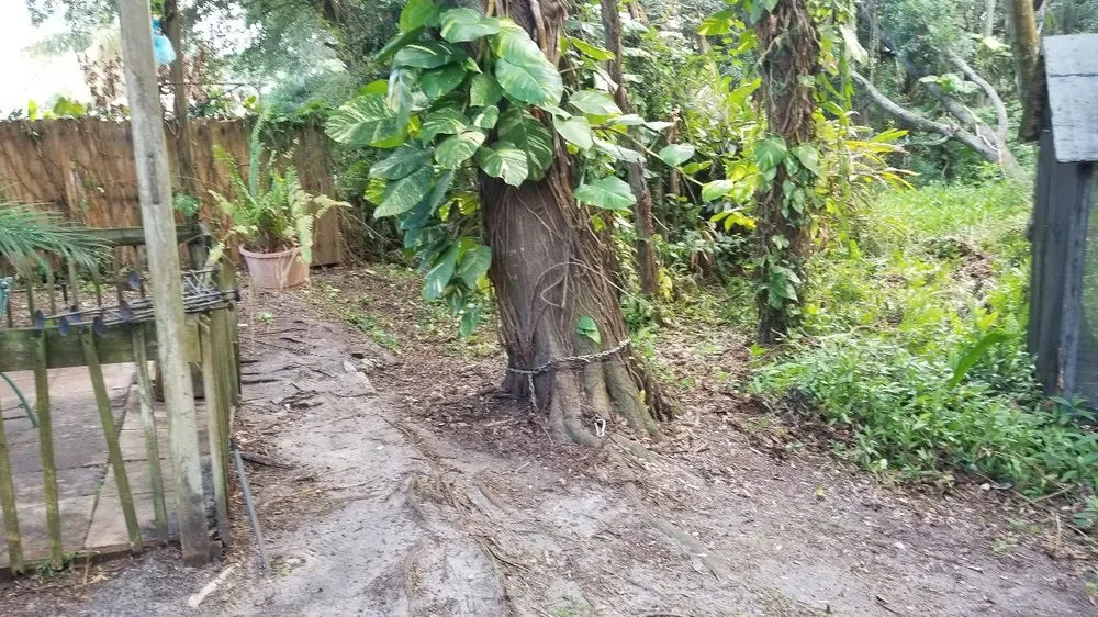 Top-rated landscape design in Tampa, FL - Y & M Landscaping Service