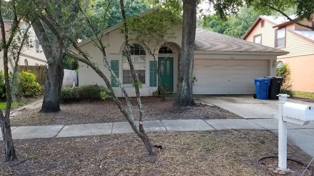 Top-rated yard cleanup service experts serving Tampa, FL - Y & M Landscaping Service