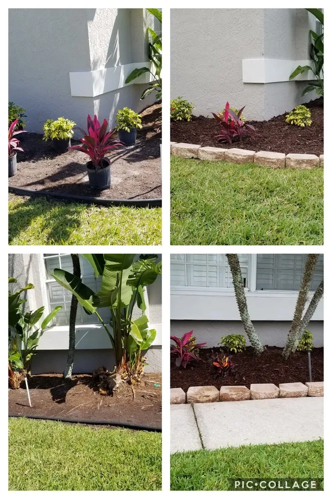 Expert yard cleanup service in Tampa, FL by Y & M Landscaping Service