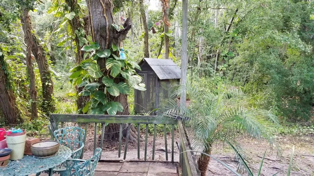 Affordable lawn mowing service in Tampa, FL - Y & M Landscaping Service