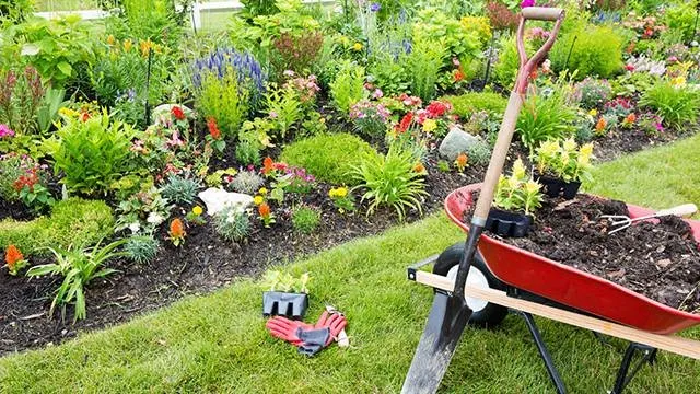 Professional landscape installation for year-round maintenance across Tampa, FL - Y & M Landscaping Service