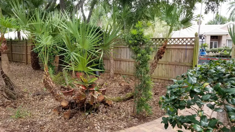 Reliable lawn mowing service for outdoor upgrades in Tampa, FL by Y & M Landscaping Service