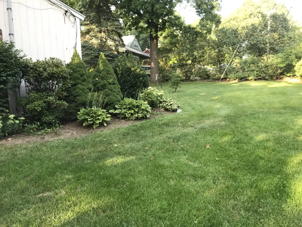 Reliable yard cleanup service in Marlborough, MA - Y C Jimenez Landscaping