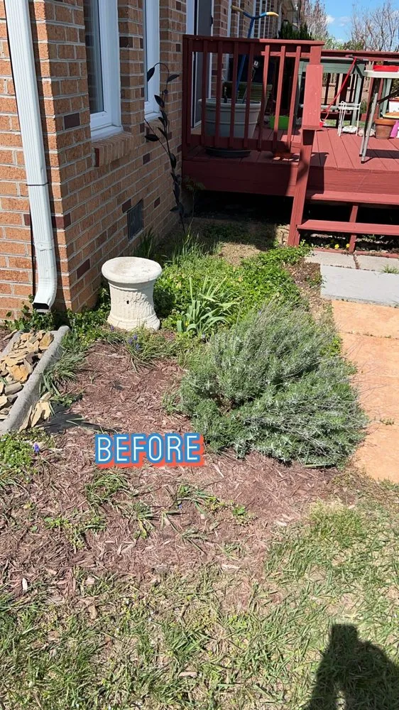 Professional lawn care service in Toms Brook, VA by Y-it’s Fix Em Up’s