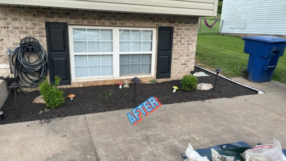 Local yard cleanup service for beautiful yards across Toms Brook, VA - Y-it’s Fix Em Up’s