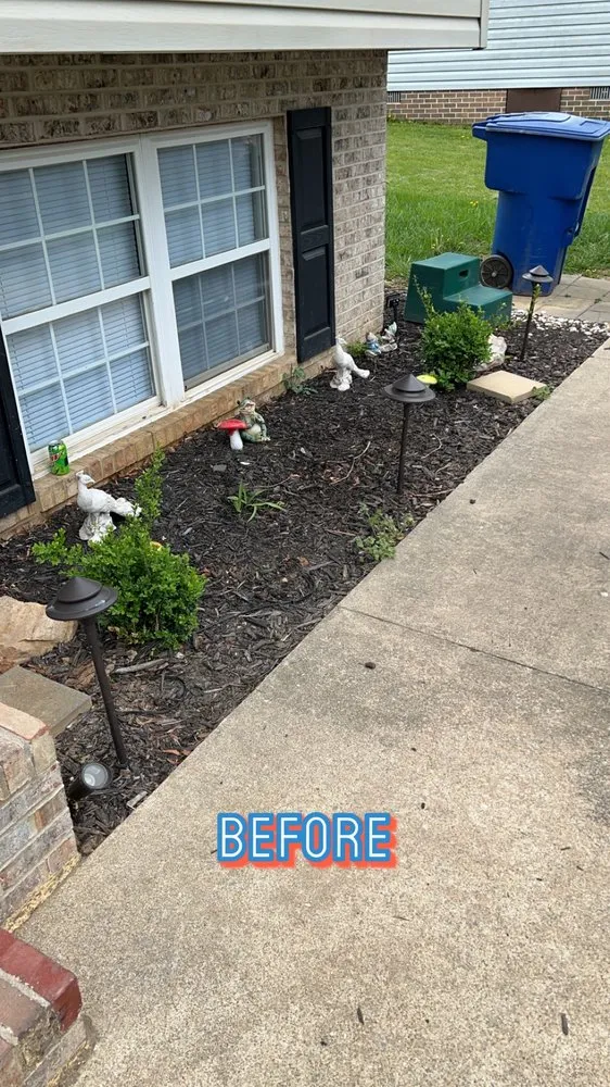 Expert yard cleanup service in Toms Brook, VA - Y-it’s Fix Em Up’s