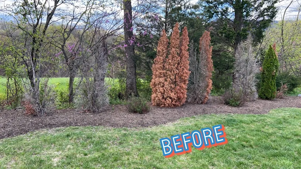 Reliable outdoor landscaping in Toms Brook, VA by Y-it’s Fix Em Up’s