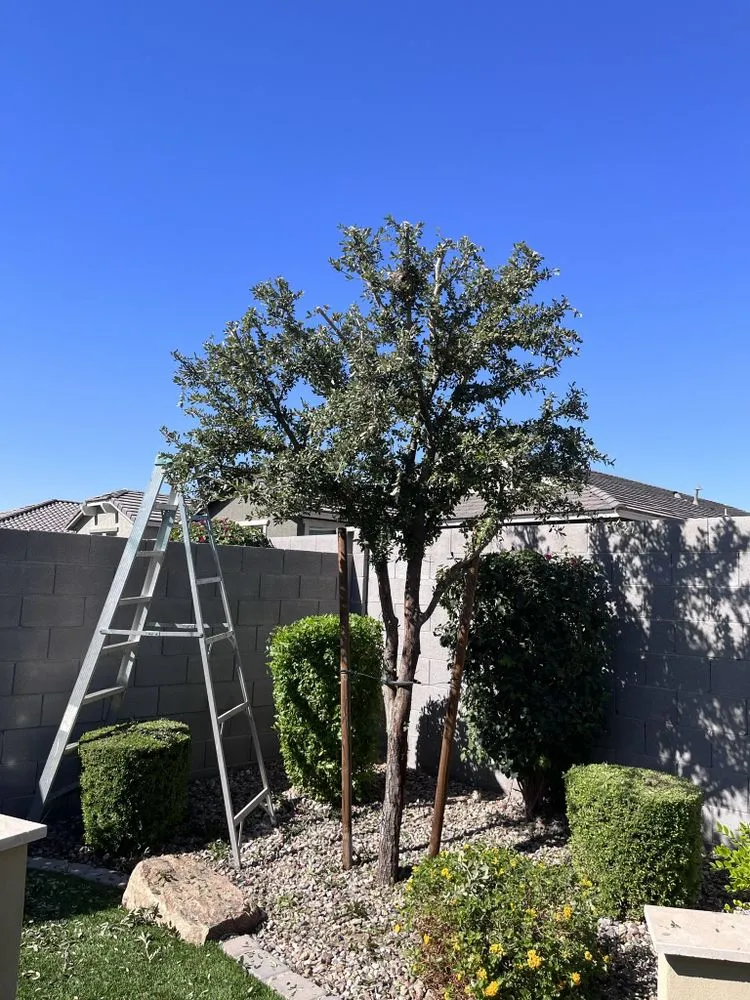 Reliable outdoor landscaping near you across Goodyear, AZ - Ya benitez landscaping