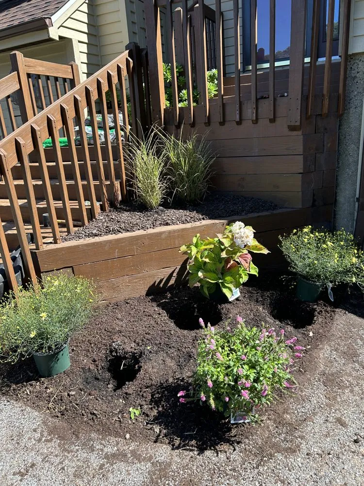 Professional lawn care service in Seffner, FL by Ya Mon Service Management Company