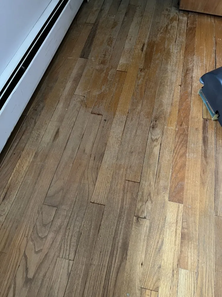 Expert landscaping services in Seffner, FL - Ya Mon Service Management Company