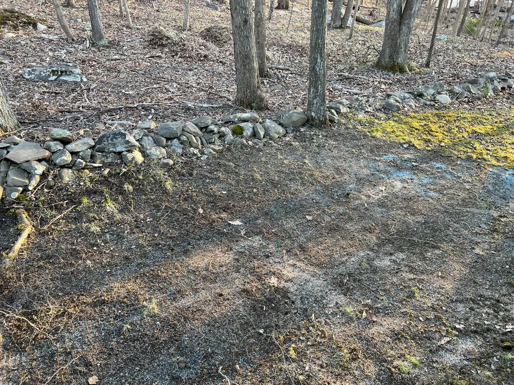 Professional garden landscaping experts serving Seffner, FL - Ya Mon Service Management Company