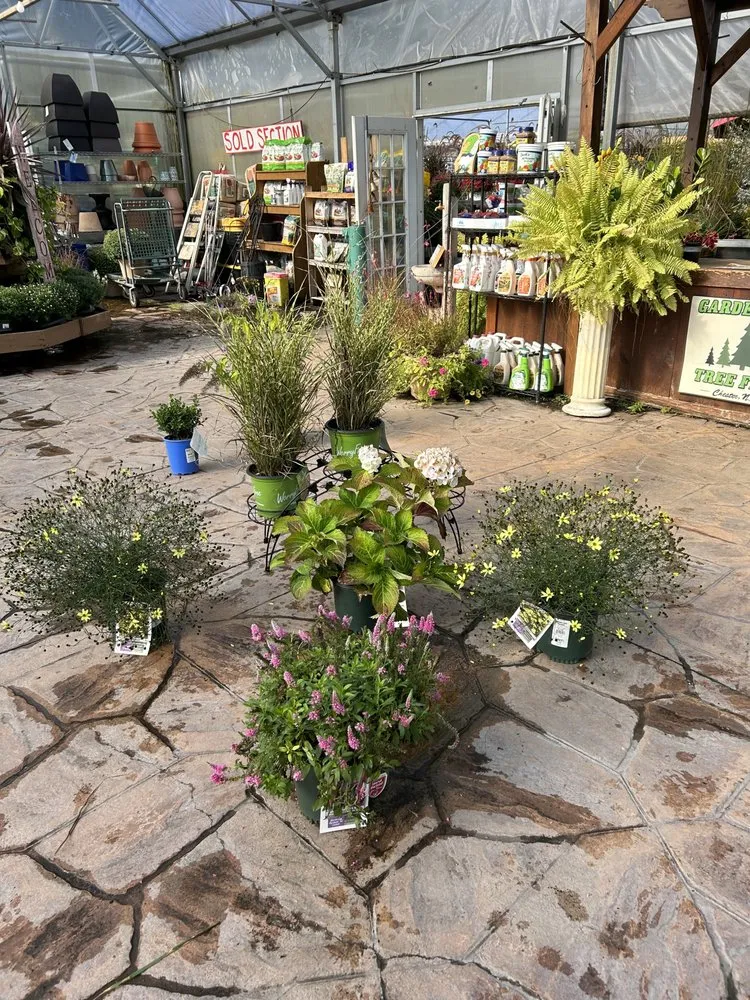 Top-rated garden landscaping in Seffner, FL - Ya Mon Service Management Company