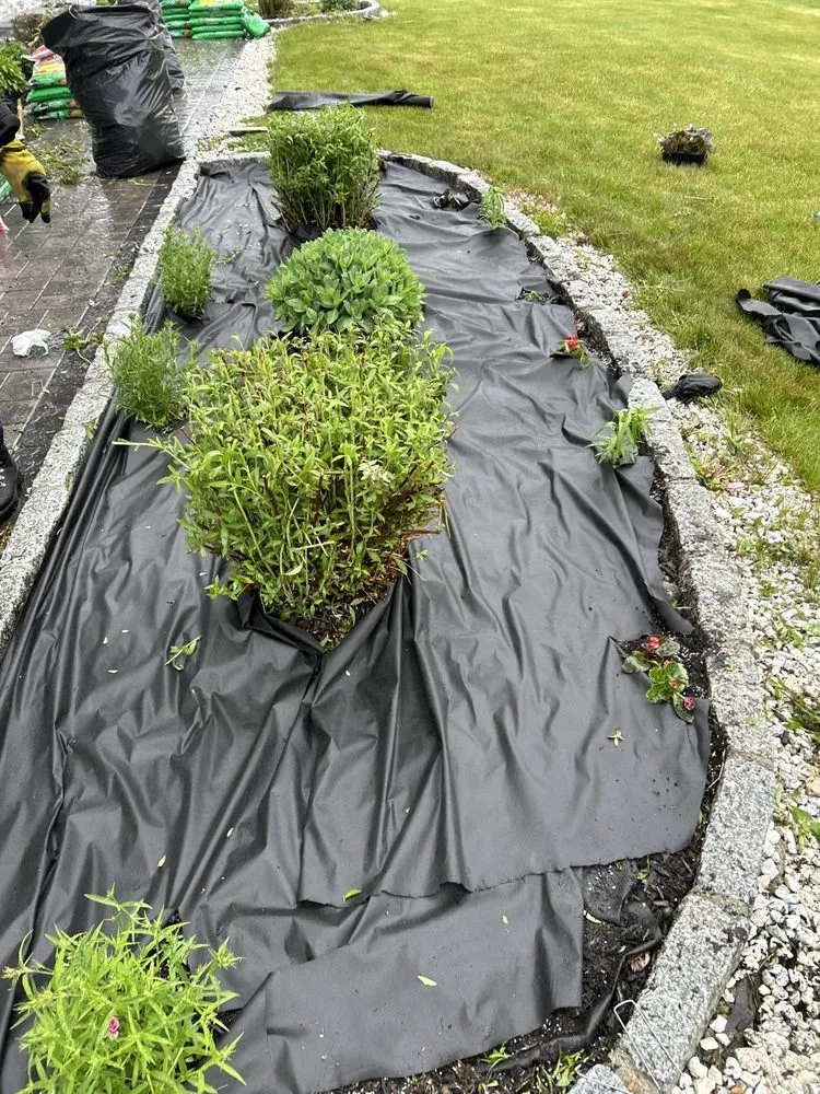 Custom landscaping services experts serving Seffner, FL - Ya Mon Service Management Company