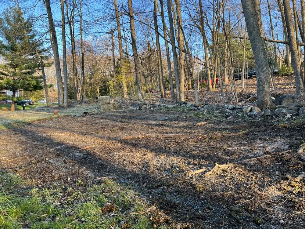 Affordable lawn care service experts serving Seffner, FL - Ya Mon Service Management Company