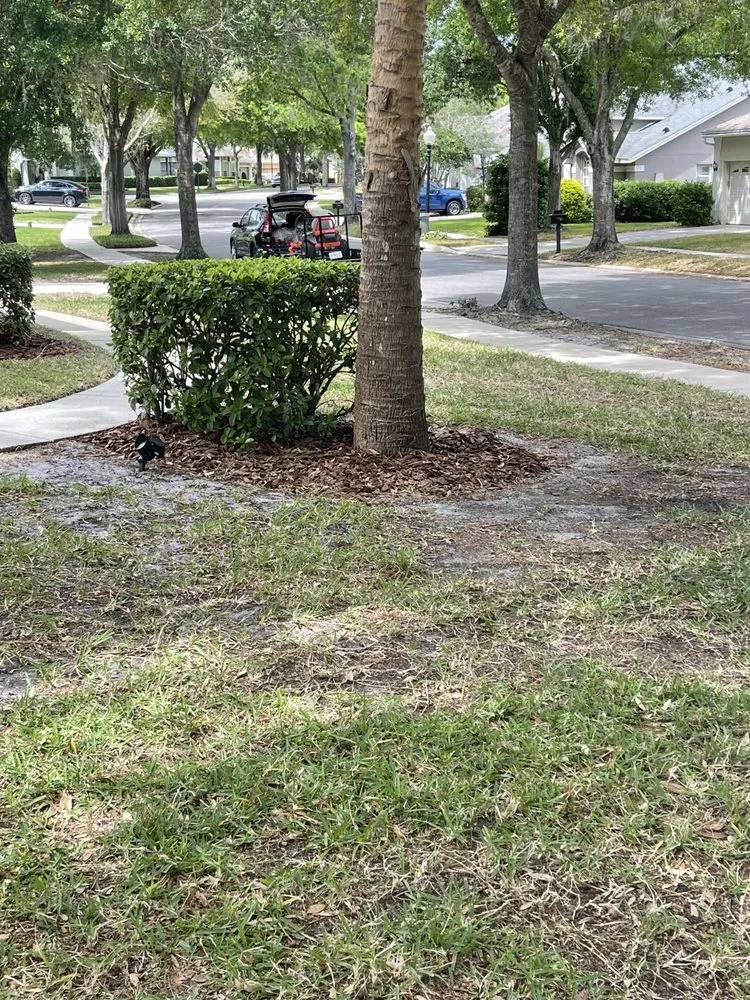 Trusted outdoor landscaping experts serving Sanford, FL - Yaadiiman Lawn Care