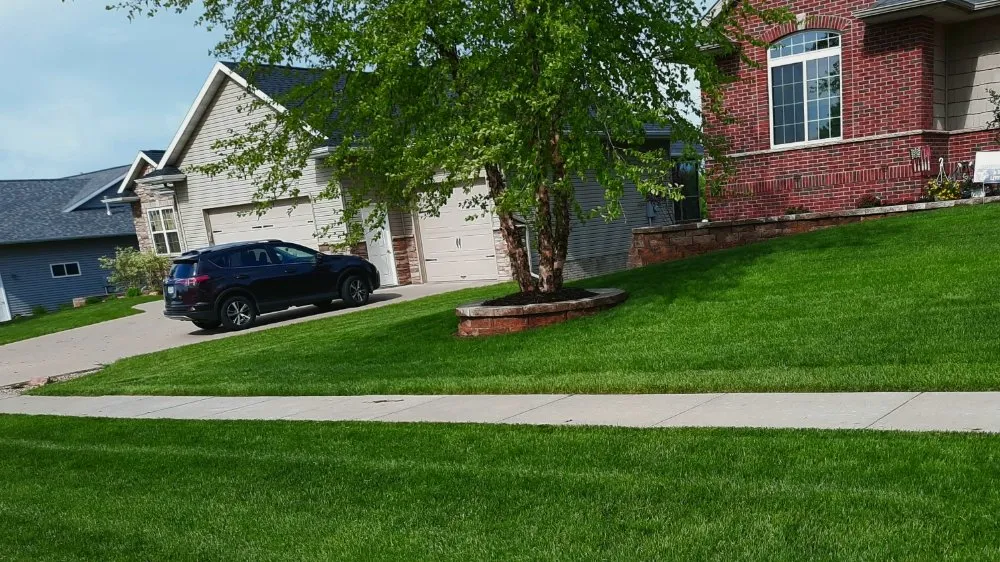 Reliable yard maintenance for beautiful yards across Cedar Rapids, IA - Yaardman landscaping