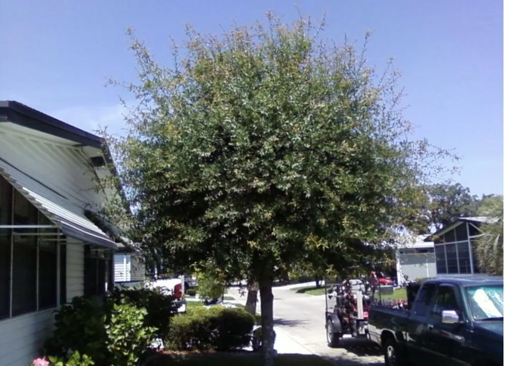 Trusted landscape design in Wausau, WI - Yach's Lawn Care