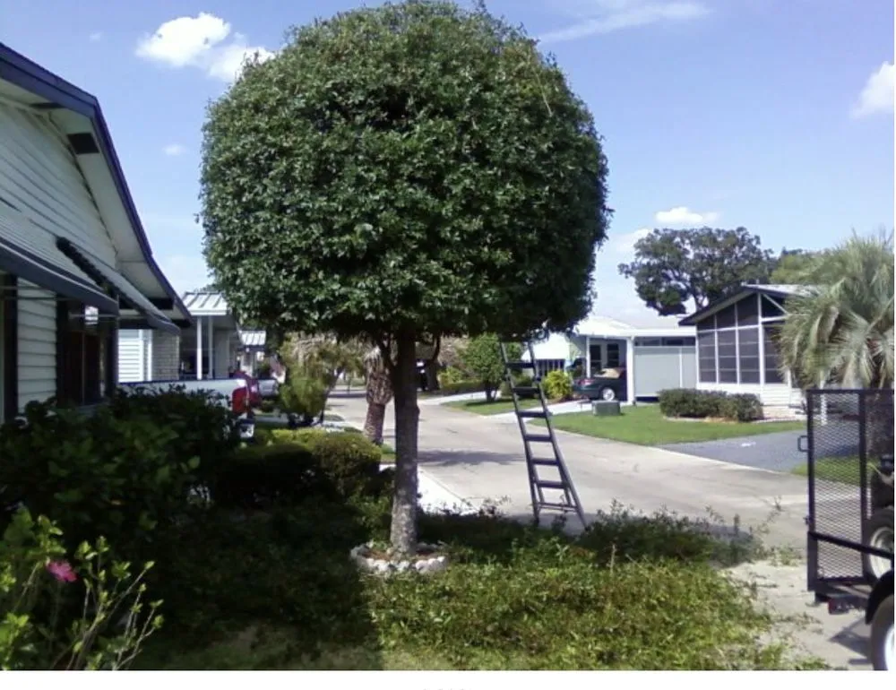 Reliable lawn care service in Wausau, WI - Yach's Lawn Care