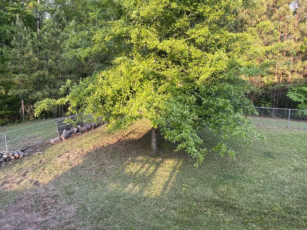 Professional outdoor landscaping experts serving Adger, AL - Yacks