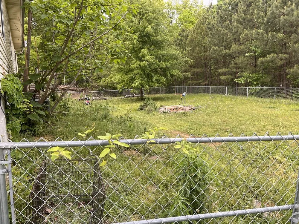 Reliable yard cleanup service for homes across Adger, AL - Yacks