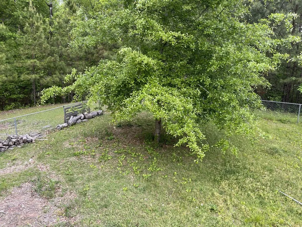 Trusted garden landscaping for year-round maintenance in Adger, AL by Yacks