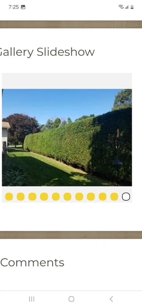 Top-rated yard cleanup service in Whitesboro, NY - Yaddow's Seasonal Services